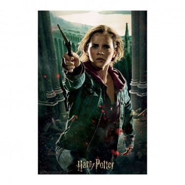 Puzzle lenticular Harry Potter Hermione Granger Batalla 300 piezas