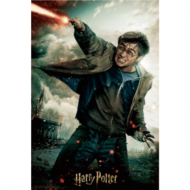 Puzzle 3D-libro lenticular Harry Potter Batalla