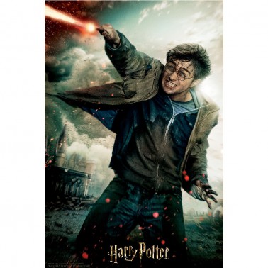 Puzzle 3D-libro lenticular Harry Potter Batalla